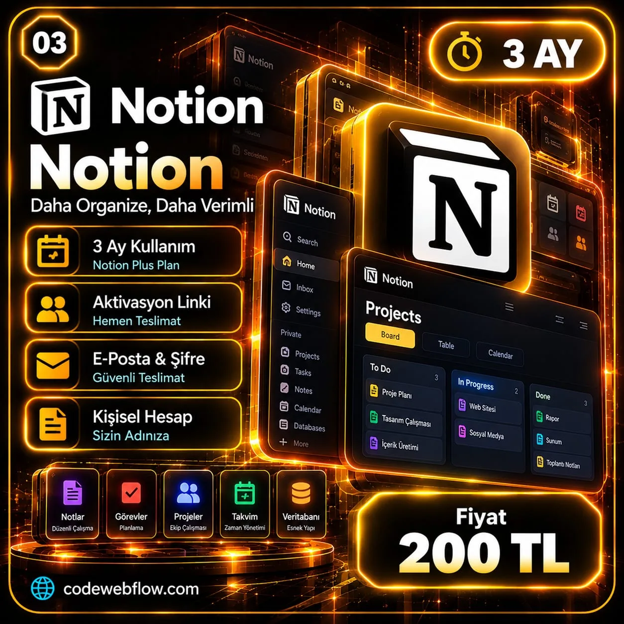 Notion Plus - 3 Ay